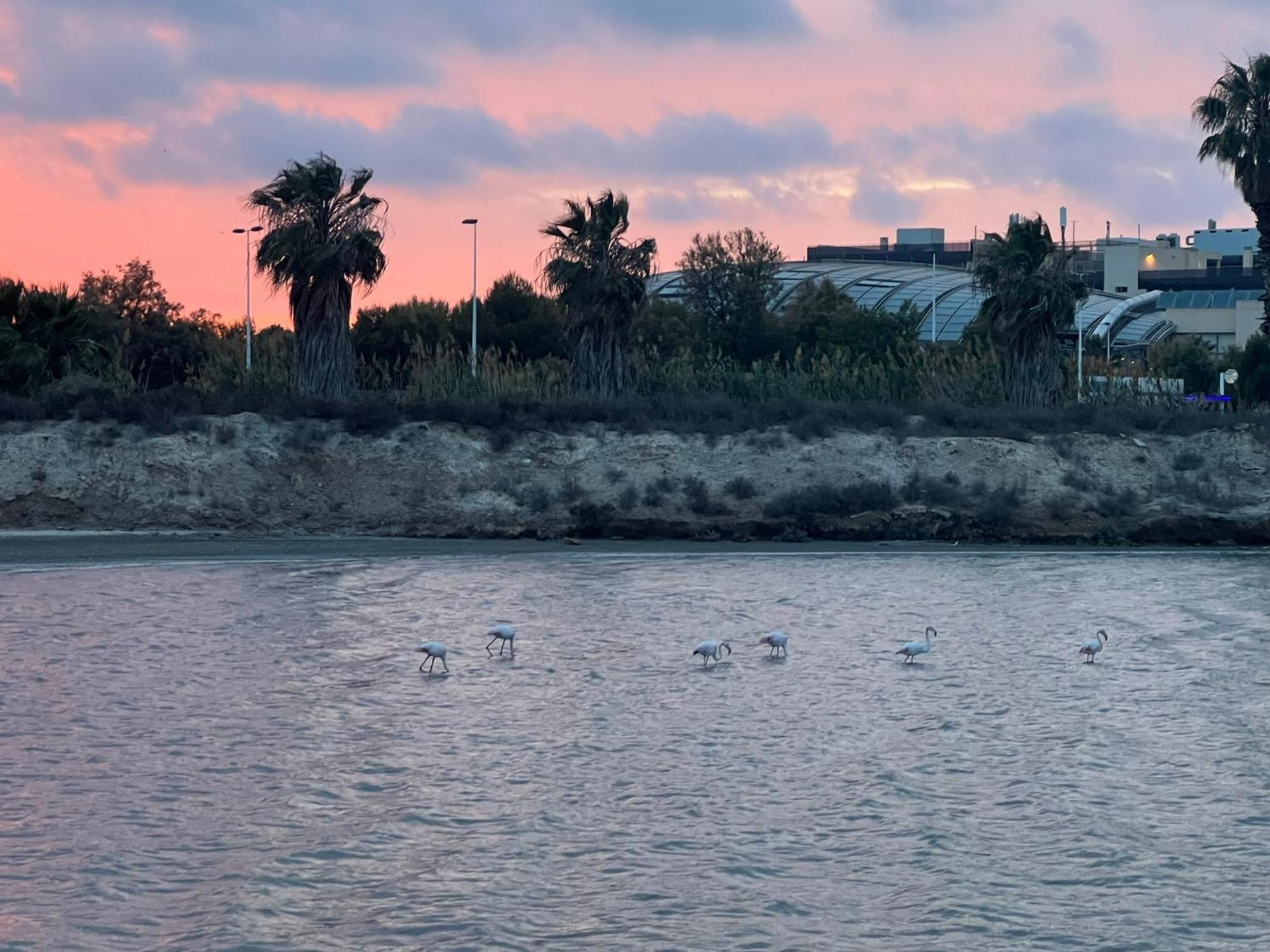 Mar Menor Paradise By Los Pinos Holidays San Pedro del Pinatar Exterior photo